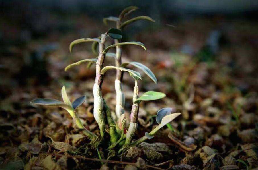 1659491570213857.jpeg 99a180fd46da9c0dd75a337ab57abaff.jpeg